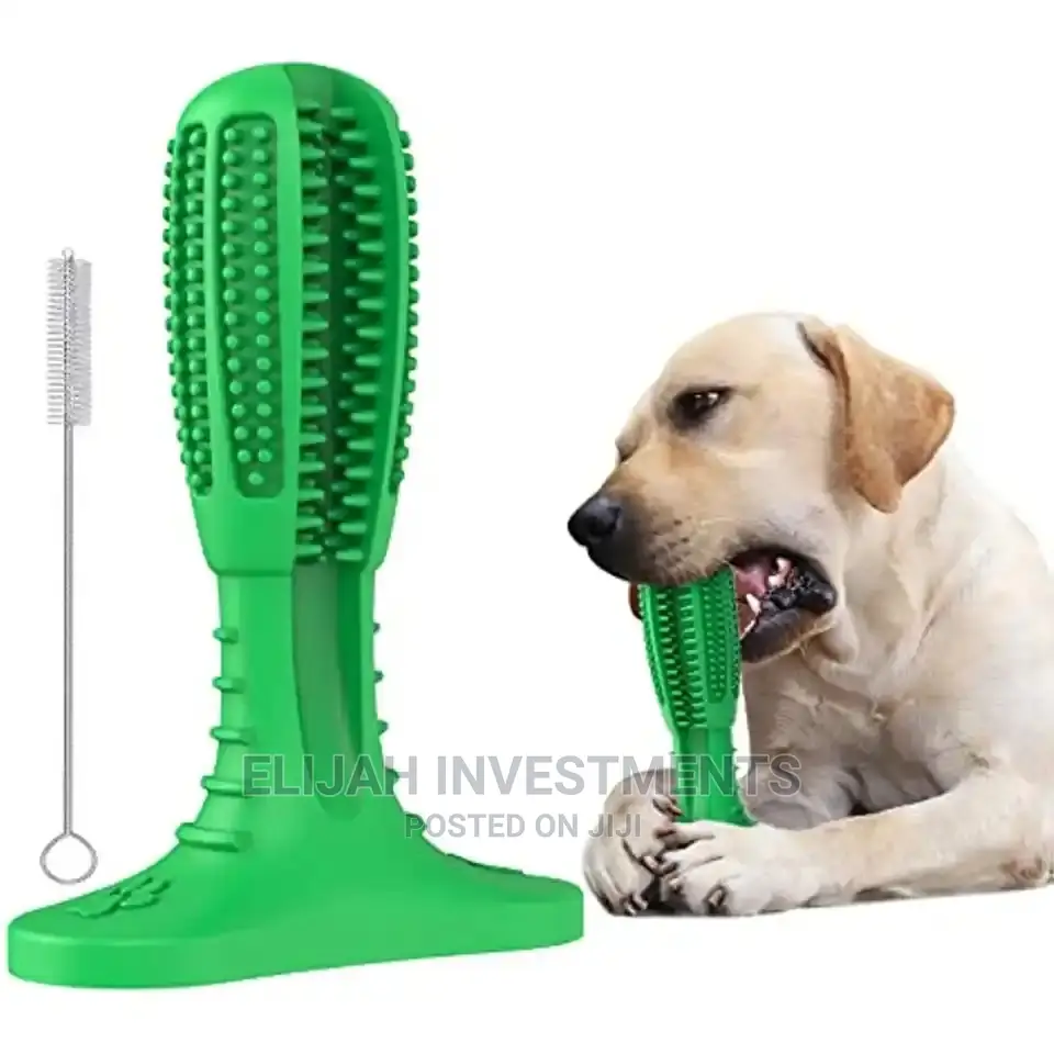 New Dog Toothbrush