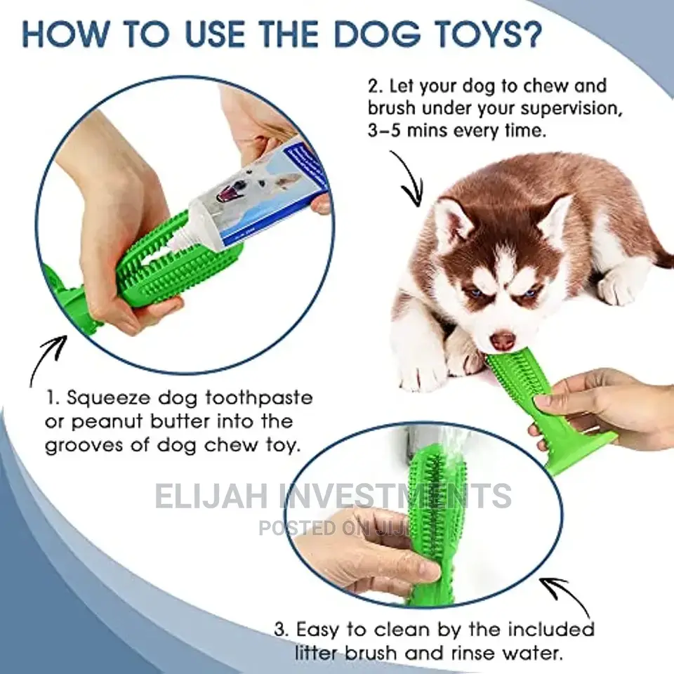 New Dog Toothbrush