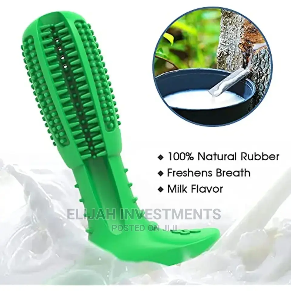 New Dog Toothbrush