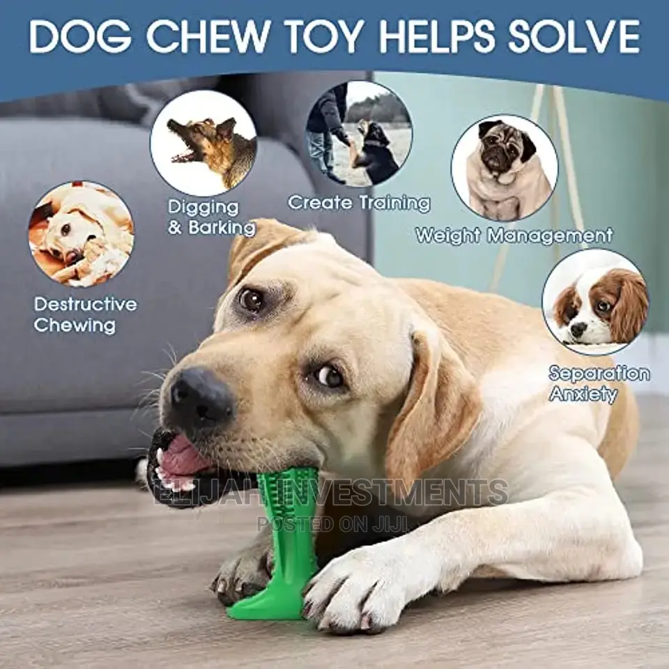 New Dog Toothbrush