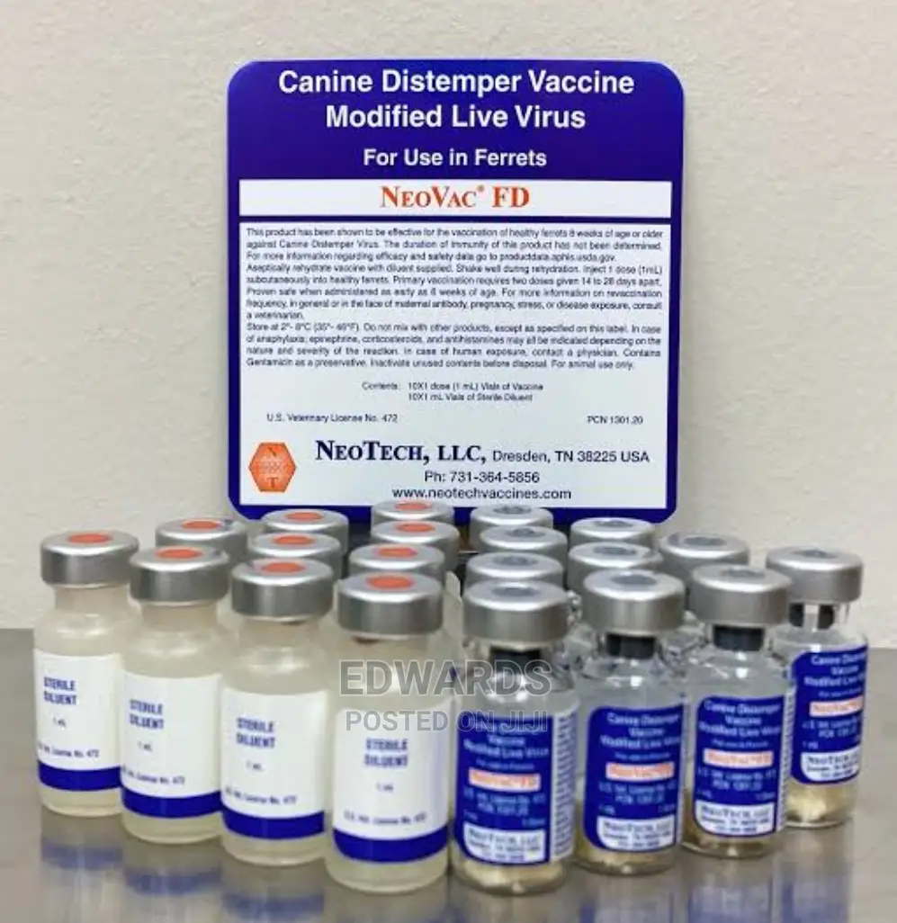 Dog Vaccination