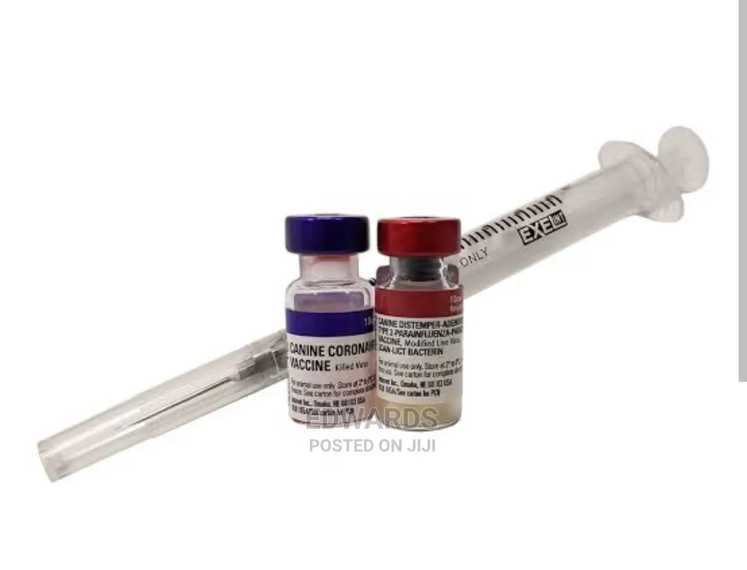 Dog Vaccination