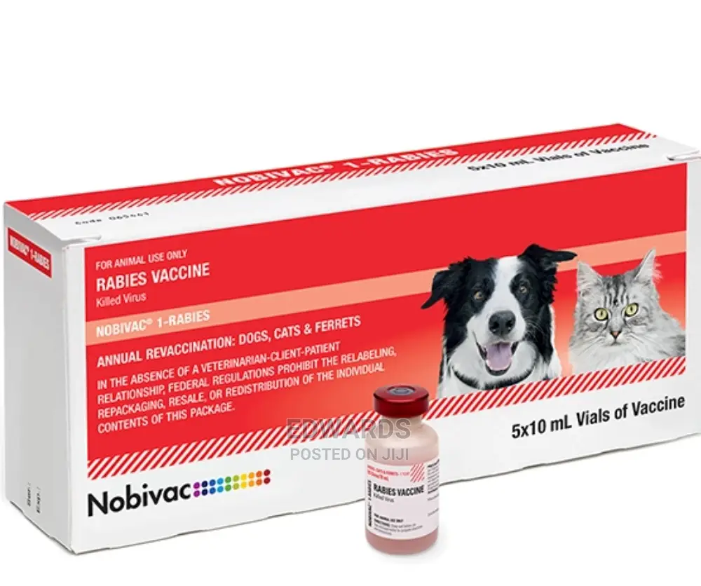 Dog Vaccination