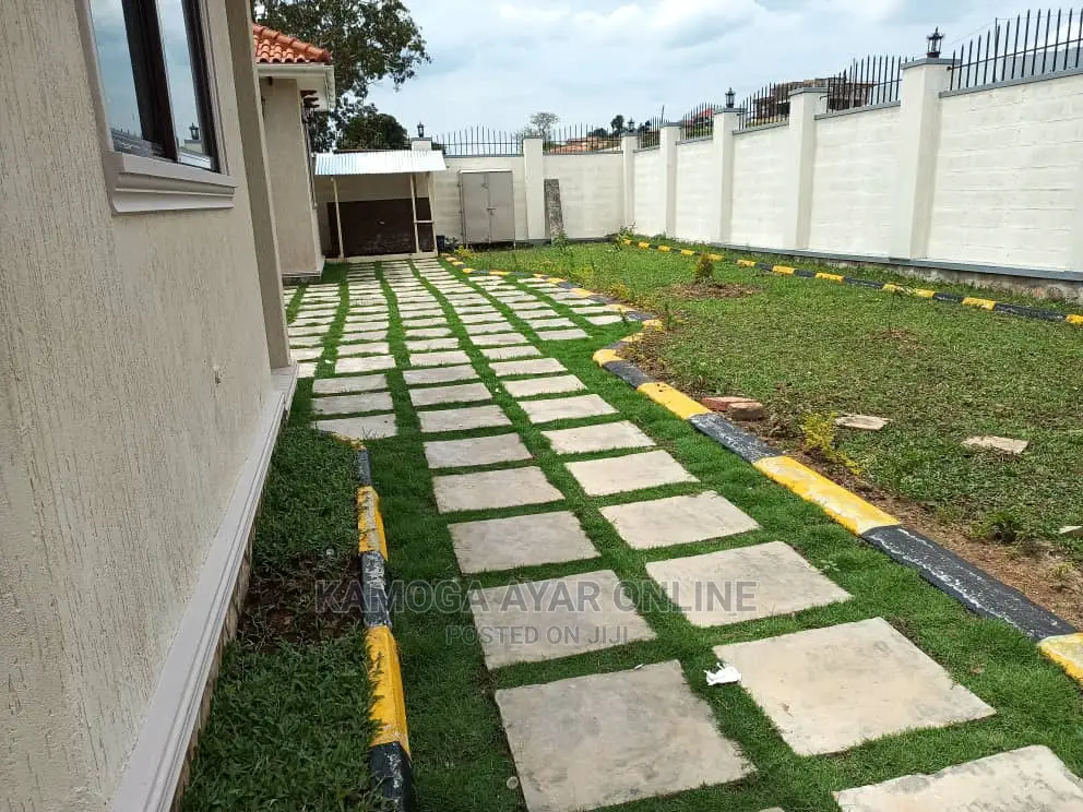 Paspalum Grass/Natural Grass and Compound Designing