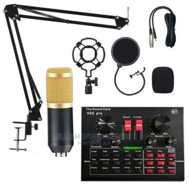Professional Microphone Condenser