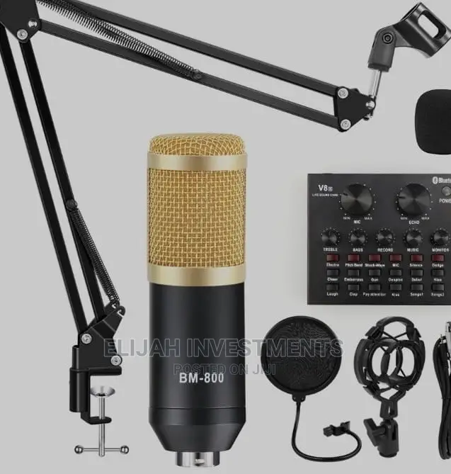 Professional Microphone Condenser