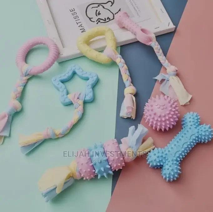 Pet Play Toys