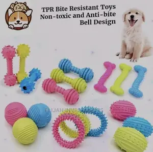 Pet Play Toys