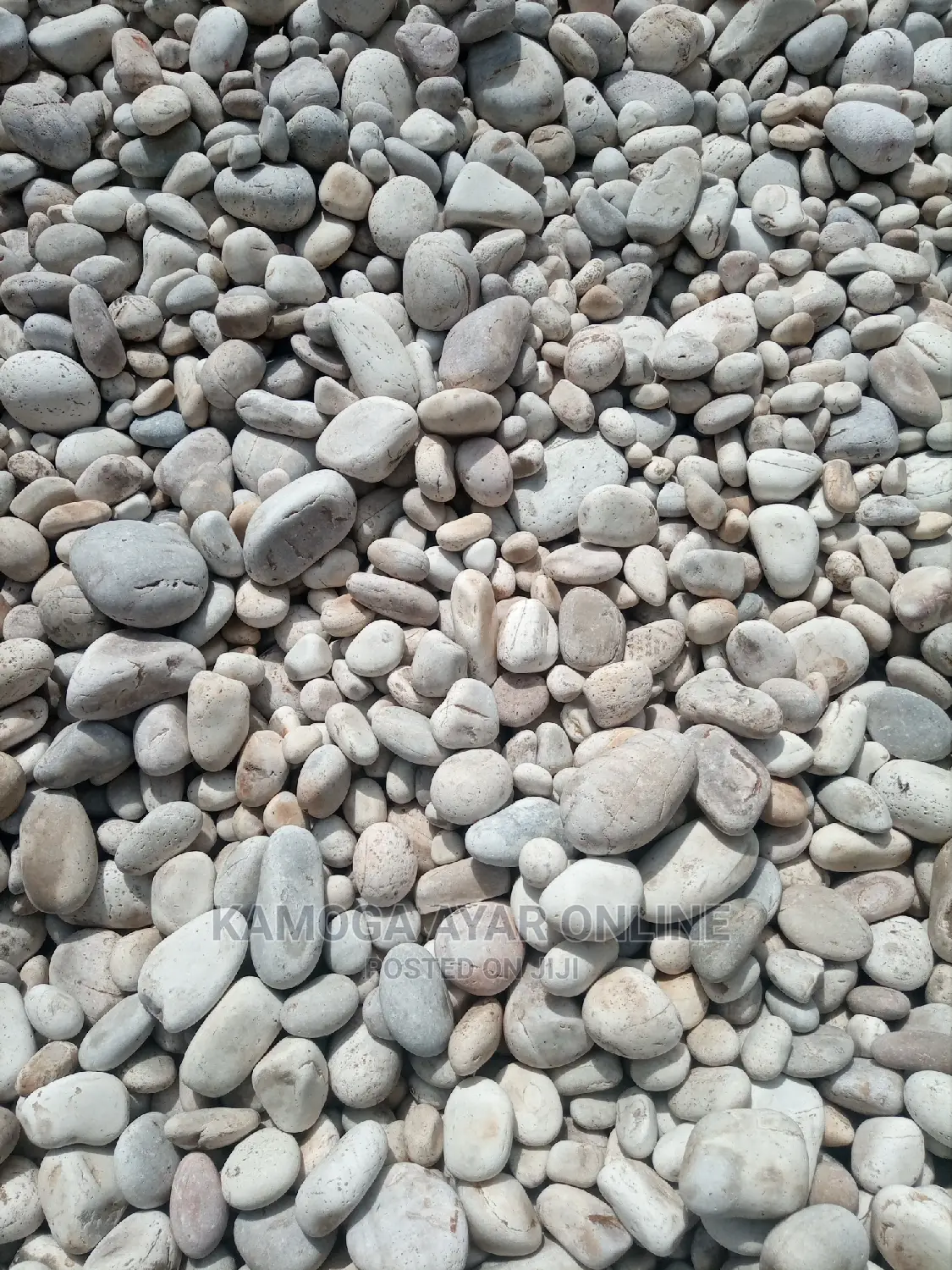 White Stones/Pebble Stones for Compound Designing