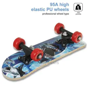 New Adult Skate Board
