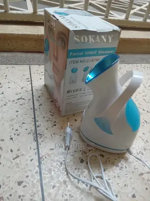 Facial Steamer