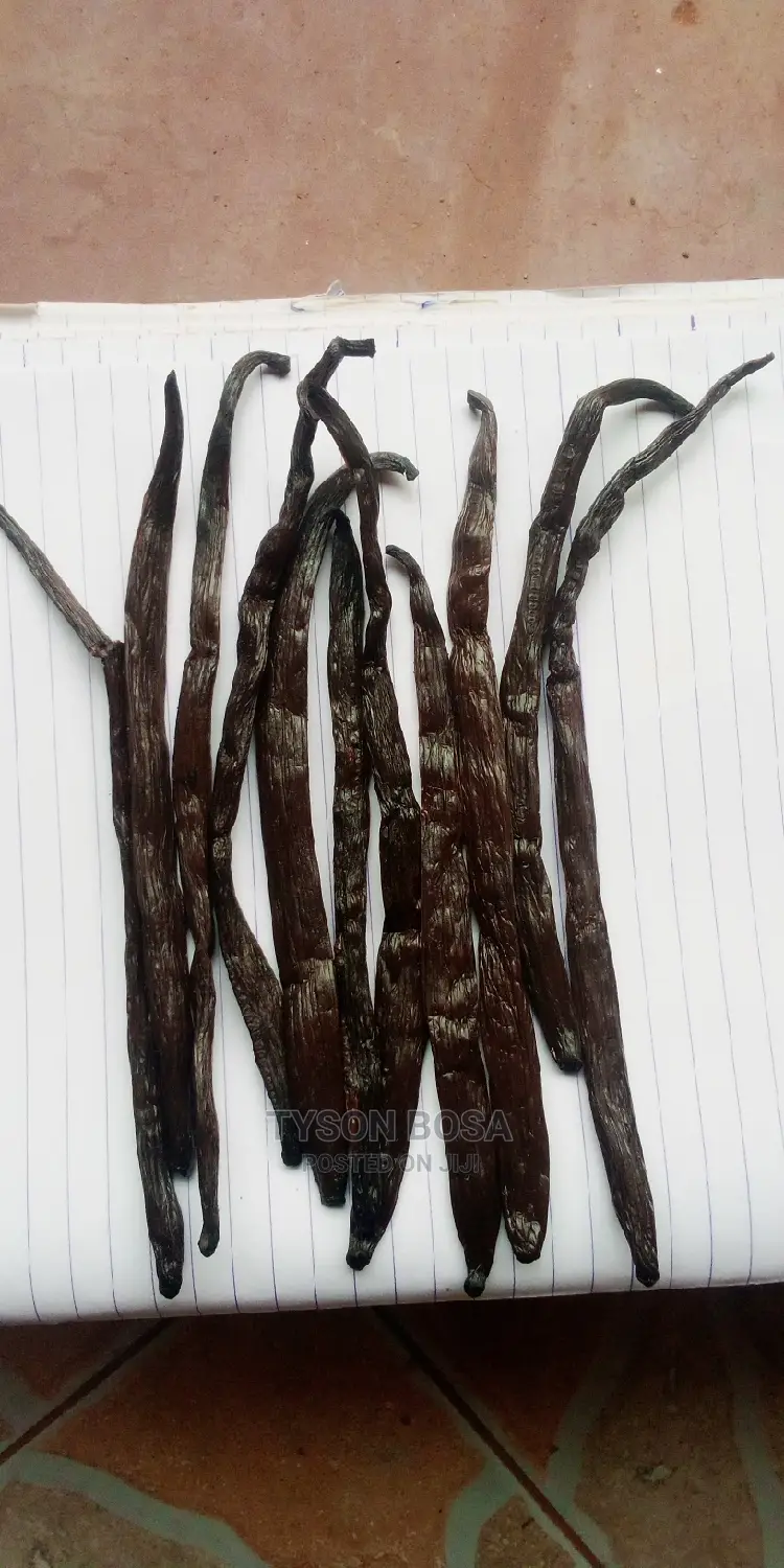 Vanilla Grade a Long