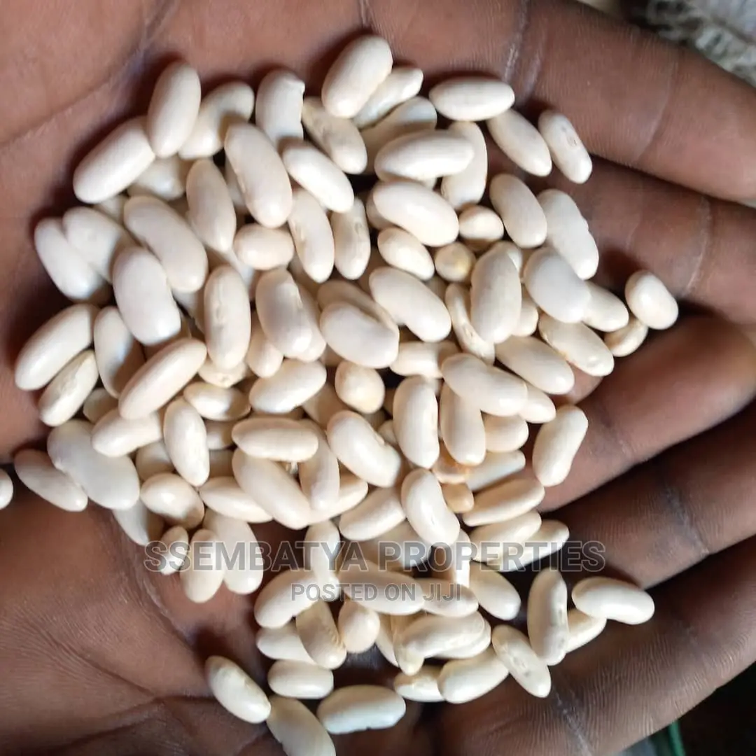 Produce Stores, Beans, Maize, Maize Flour, Sorghum, Peas Etc