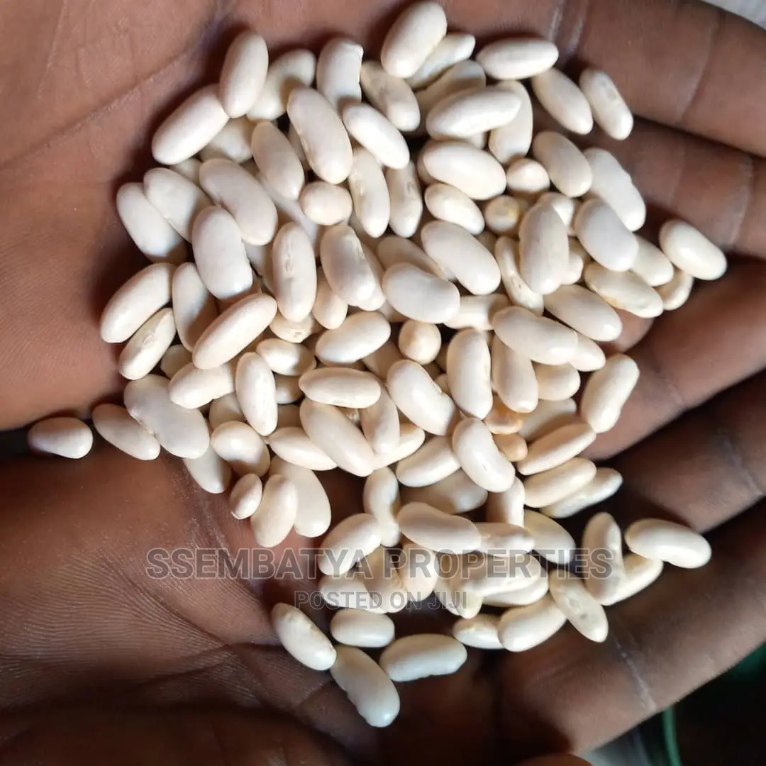 Produce Stores, Beans, Maize, Maize Flour, Sorghum, Peas Etc