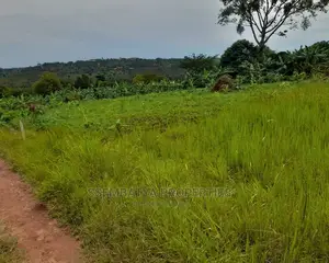 Land , Plots and Acres for Sale
