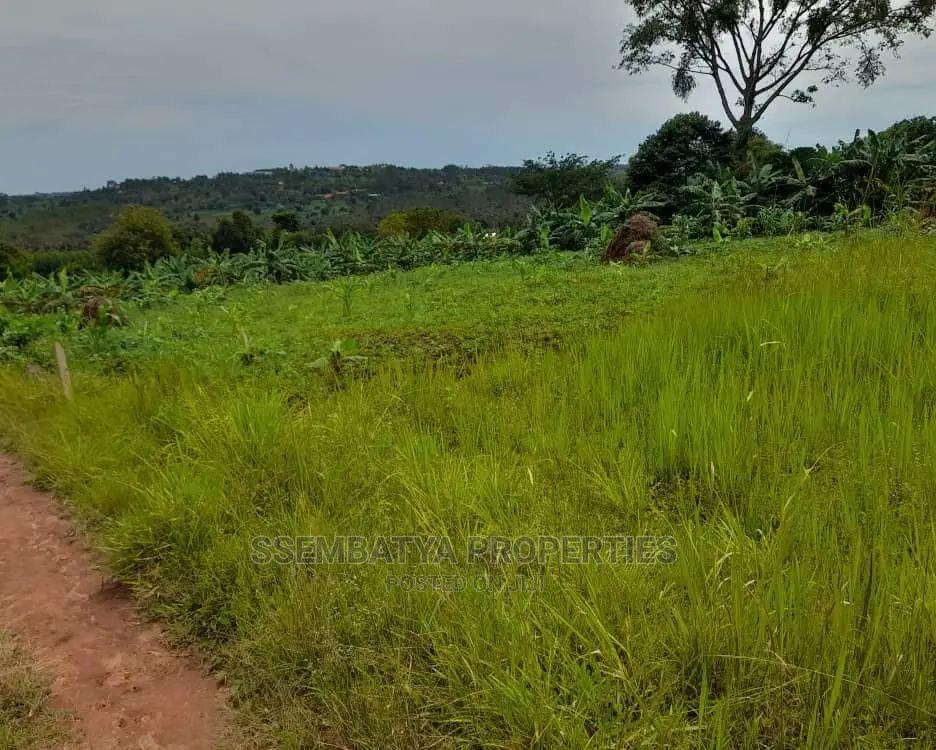 Land , Plots and Acres for Sale