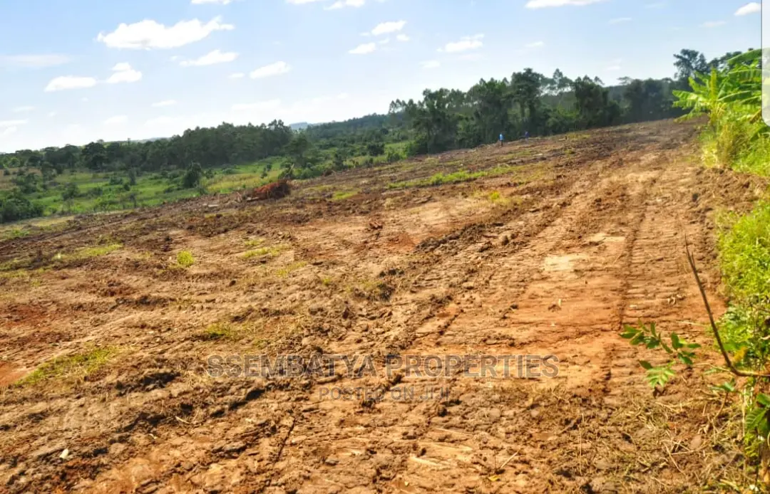 Land , Plots and Acres for Sale