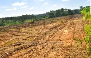 Land , Plots and Acres for Sale