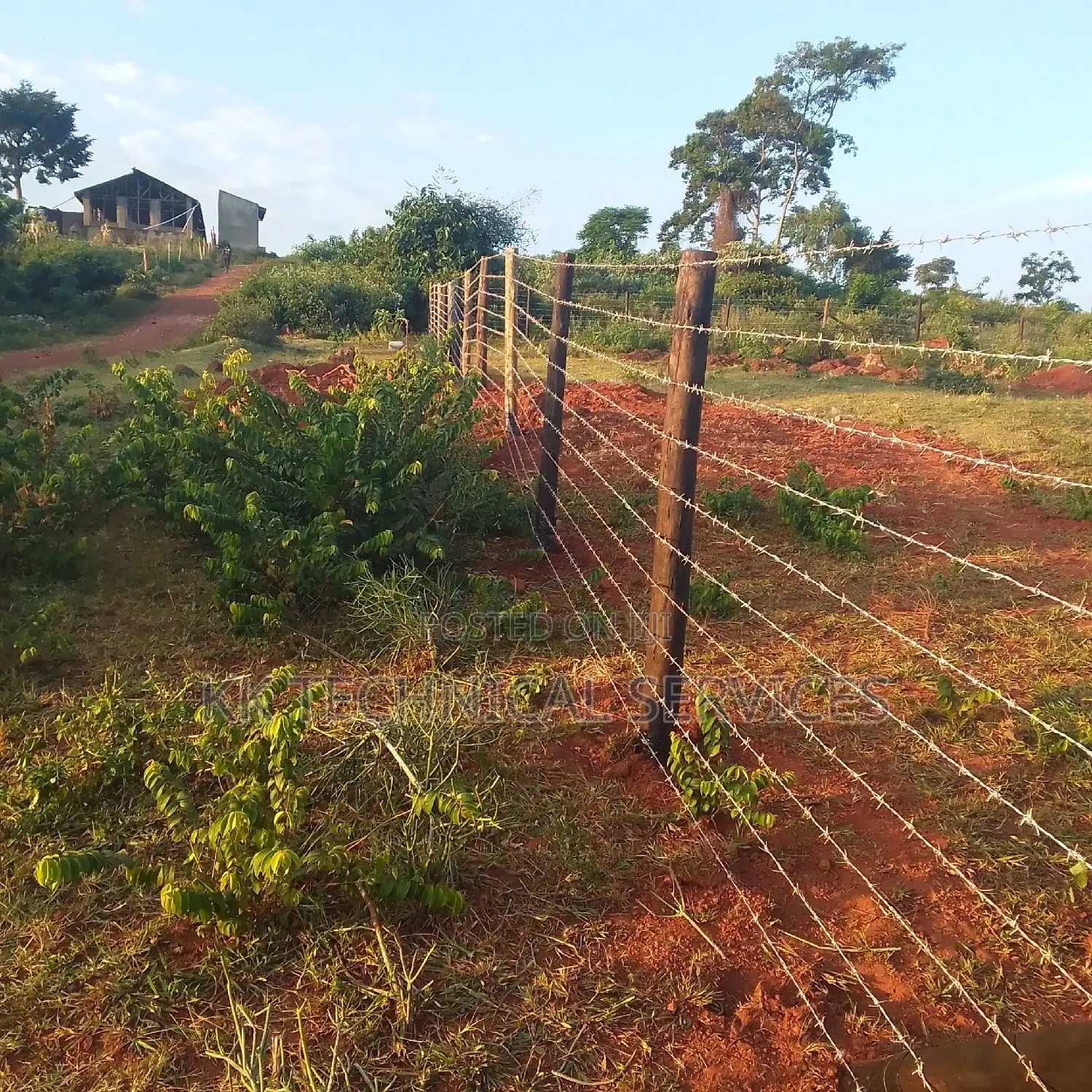 Barbed Wire Fences