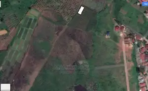 These Are Two Plots 50 by 100 Each
