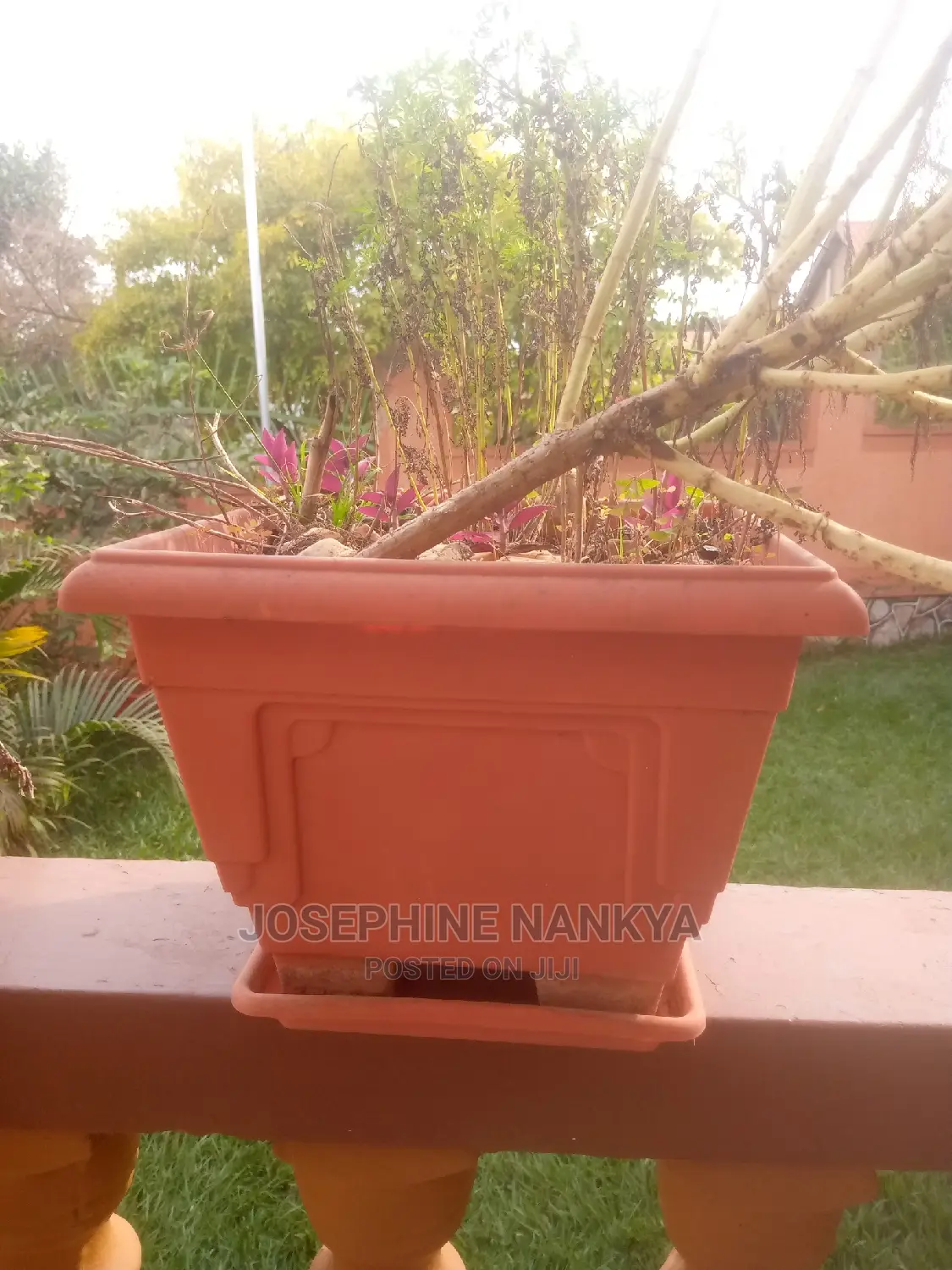Squared Flowerpot, Brown