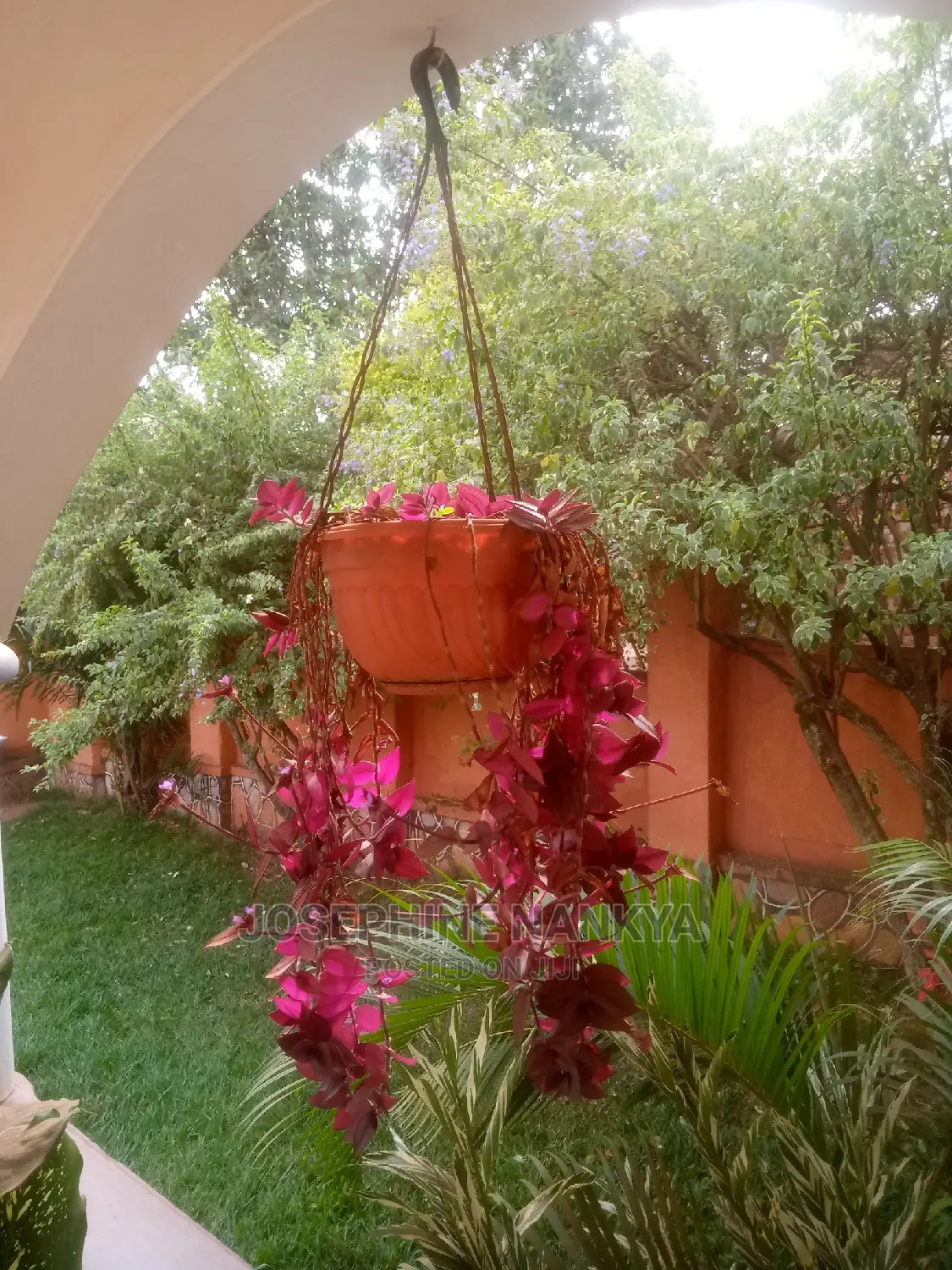 Hanging Flowerpot, Brown