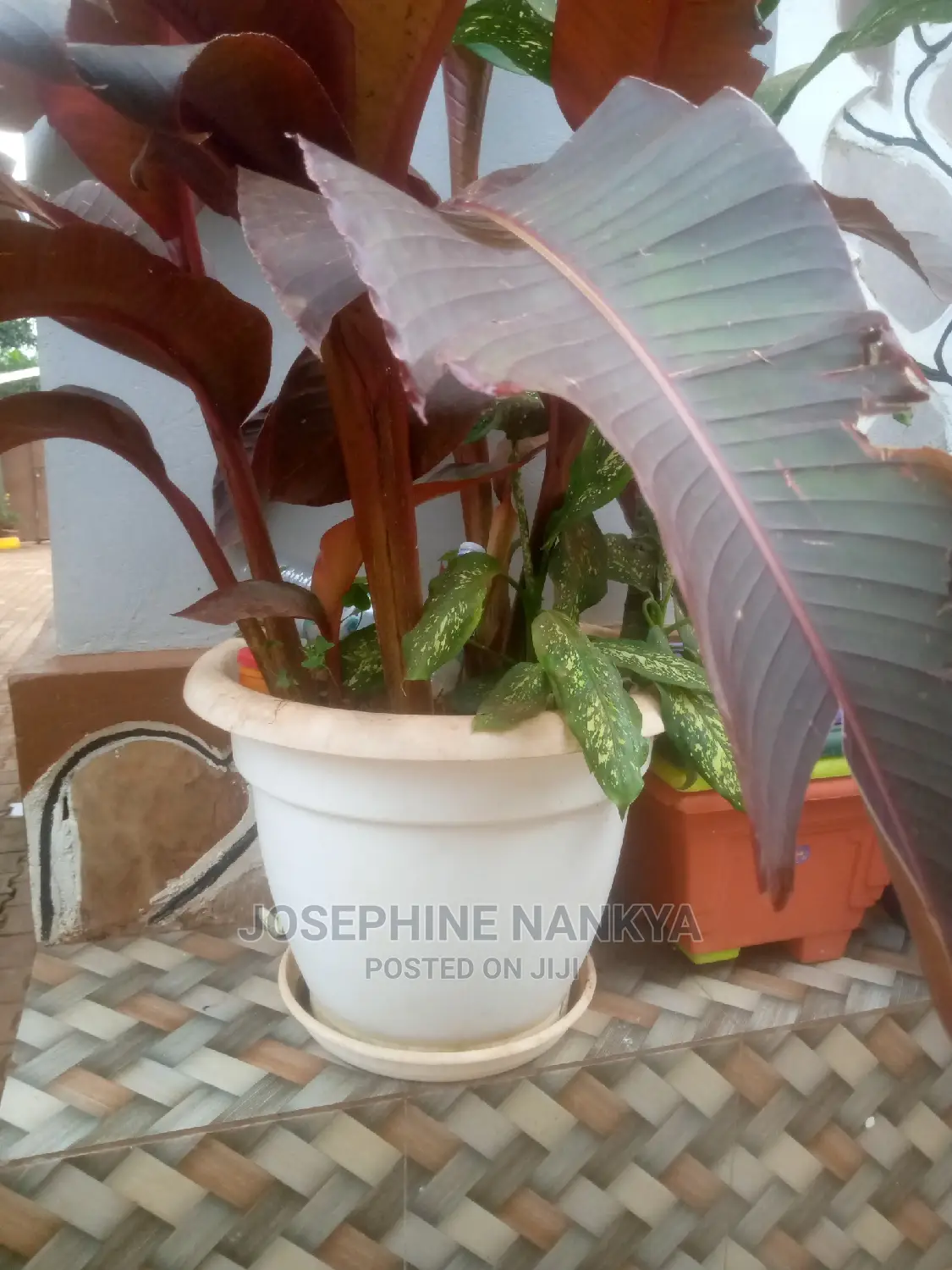 Big Flowerpot , Size 30 White