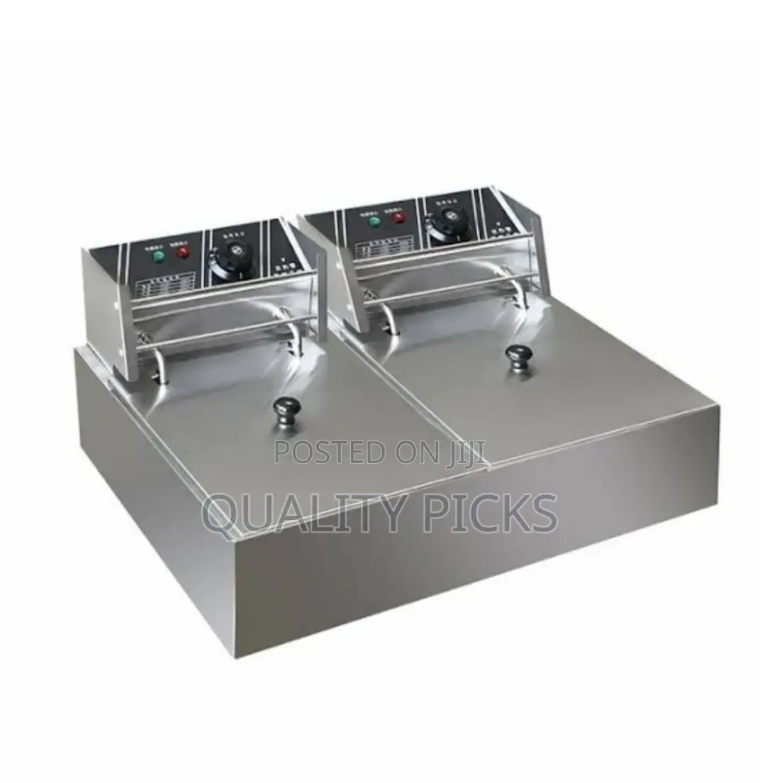 Double Electric Deep Fryer
