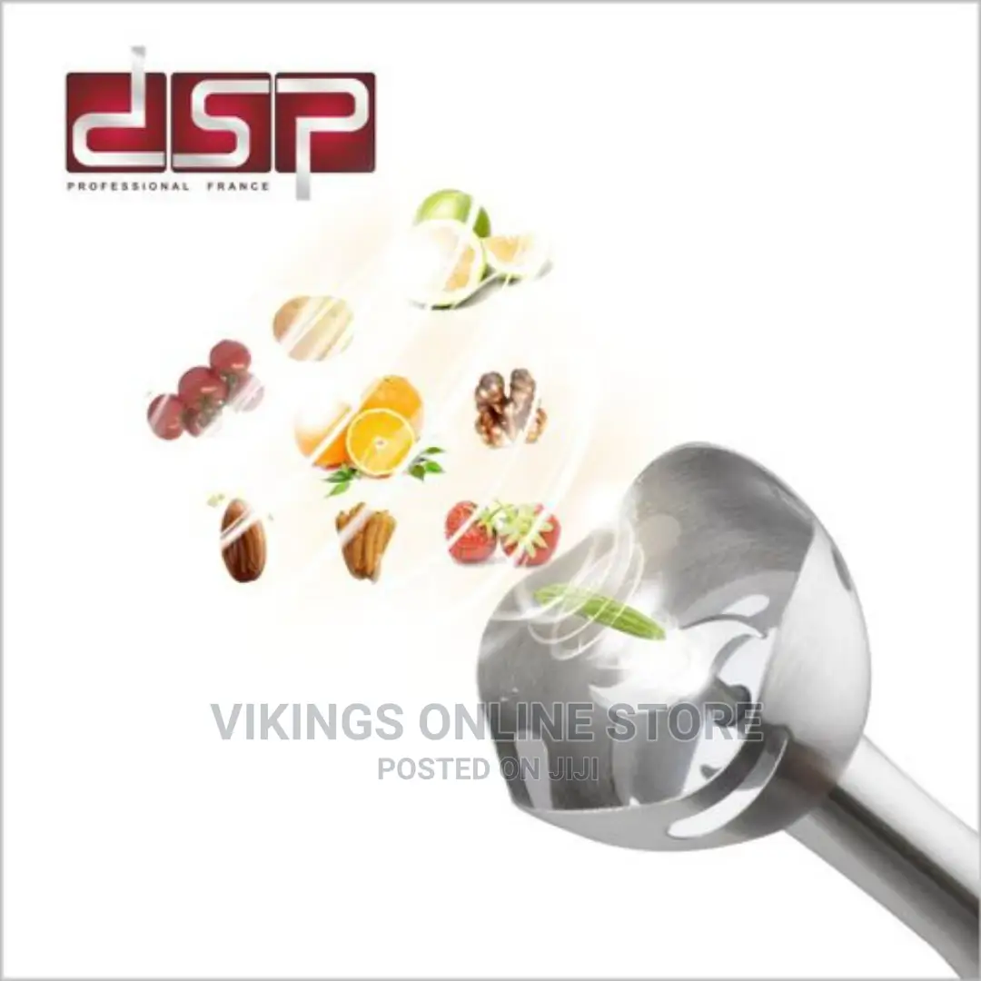4 in 1 Dsp Hand Blender Set