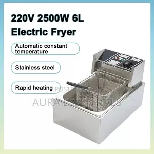 Single Commercial Deep Fryer 6L