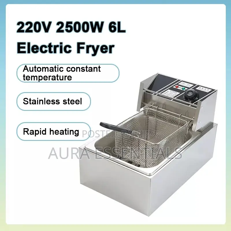 Single Commercial Deep Fryer 6L