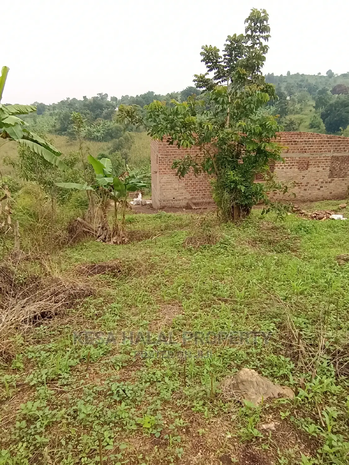 Good View Plots on Bombo Rd U Branch at Janan Sch.