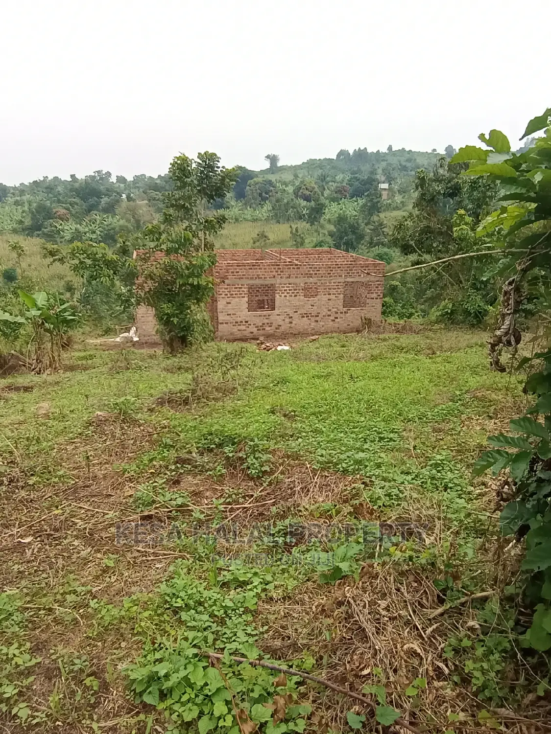 Good View Plots on Bombo Rd U Branch at Janan Sch.