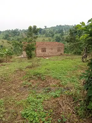 Good View Plots on Bombo Rd U Branch at Janan Sch.
