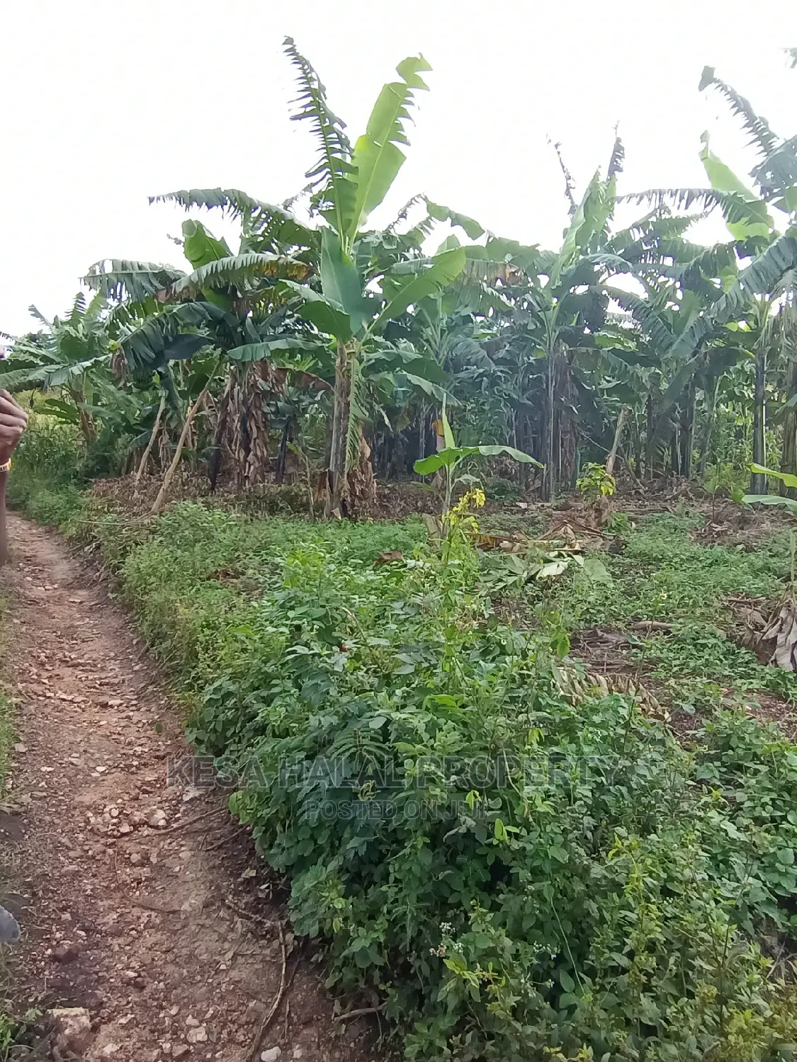 Good View Plots on Bombo Rd U Branch at Janan Sch.