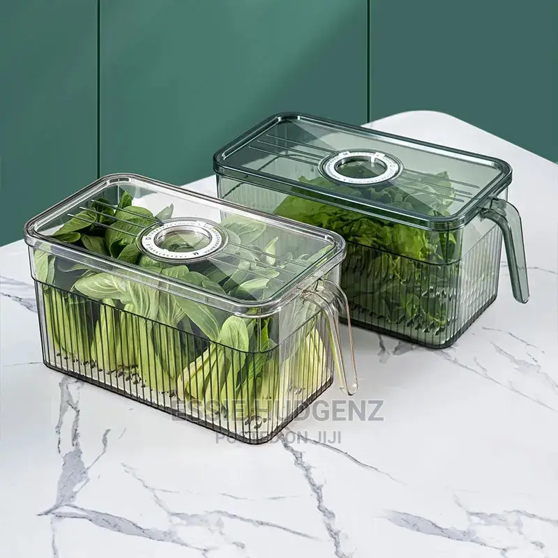 2pcs Clear Storage Fridge Kitchen Containers