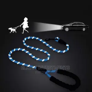 Cat and Dog Leashes in All Sizes