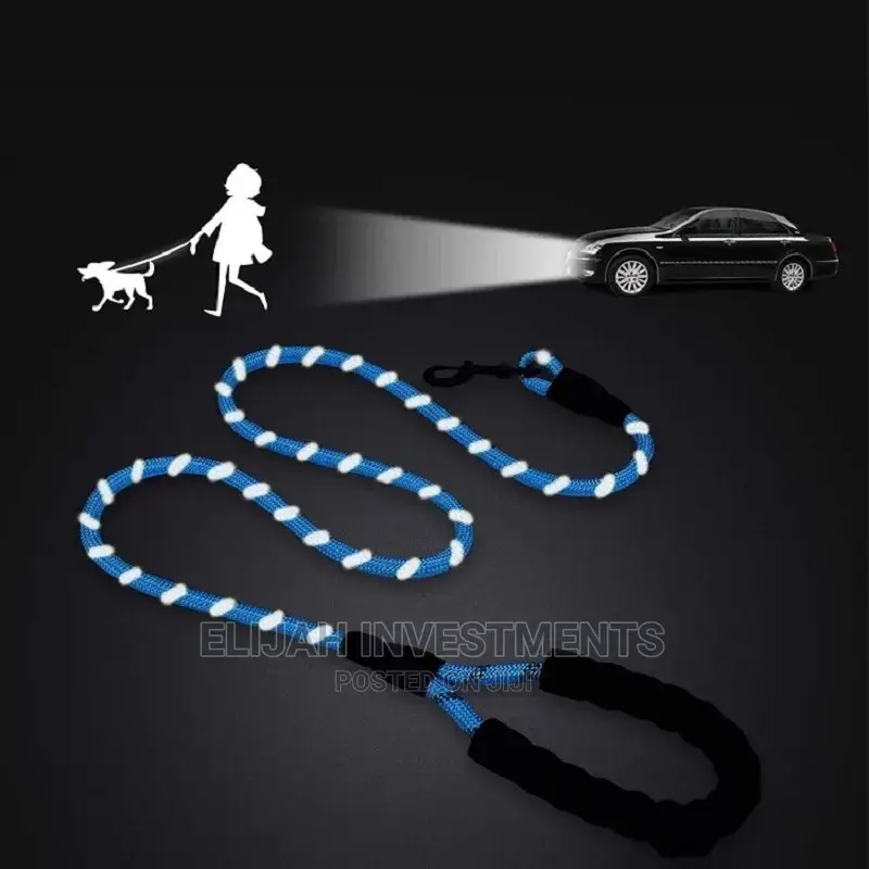 Cat and Dog Leashes in All Sizes