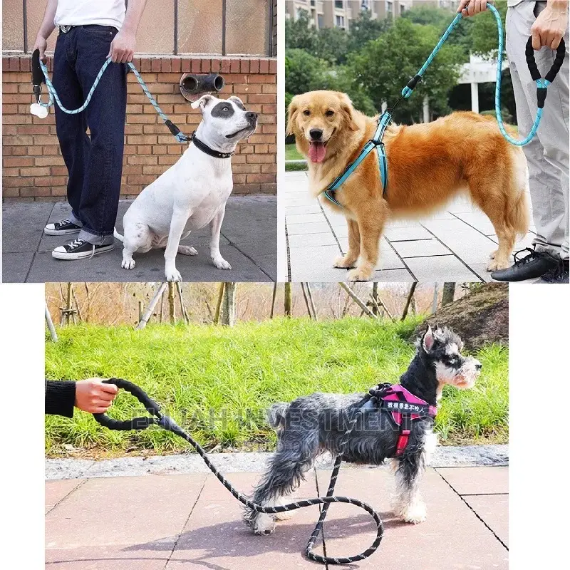 Cat and Dog Leashes in All Sizes