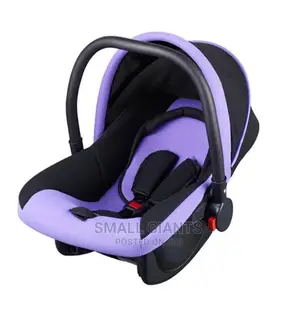 Portable Baby Car Seat