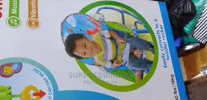Musical Baby Rocker/Swing