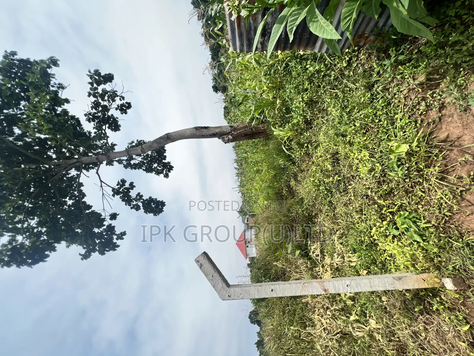 Mpigi Bubuule Titled Land
