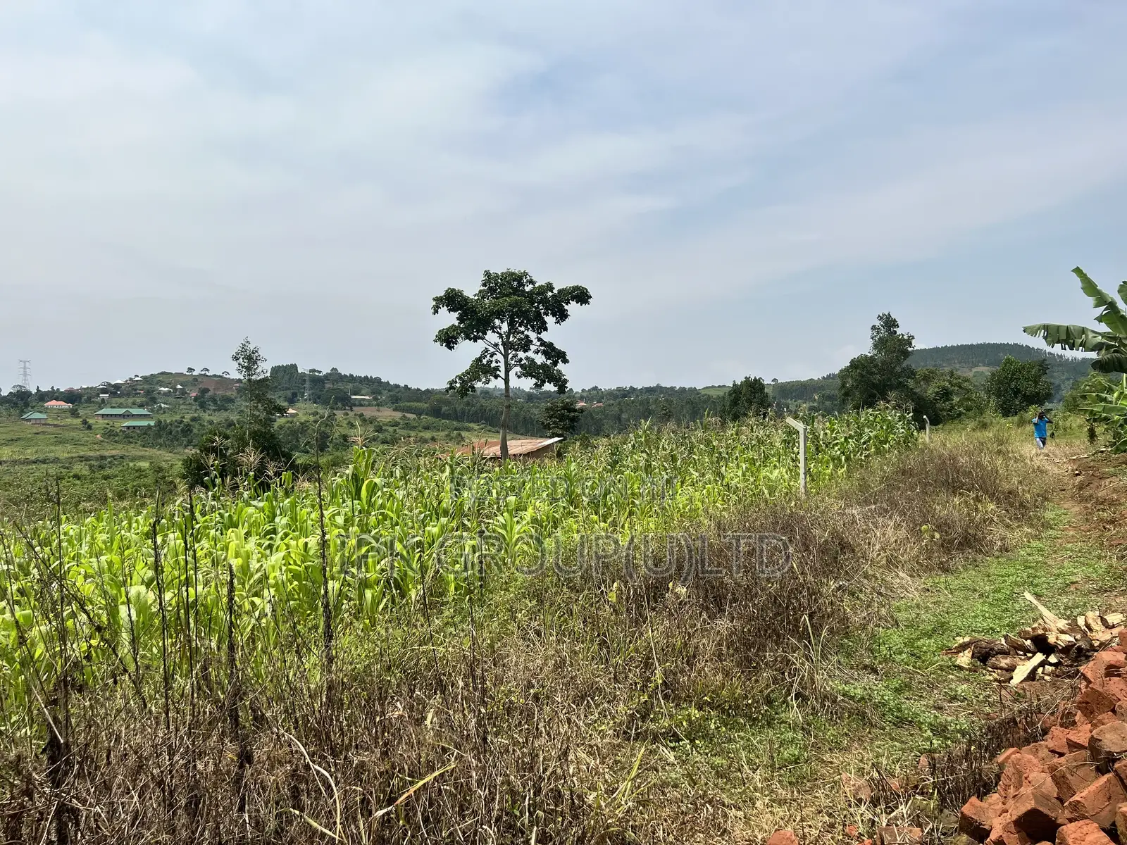 Mpigi Bubuule Titled Land