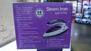 DSP Steam Travel Iron With 1year Warranty