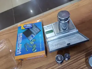 Professional Mini Digital Weight Scale