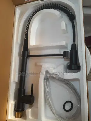Executive Kitchen Sink Mixers