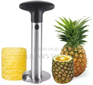 Pineapple Peeler