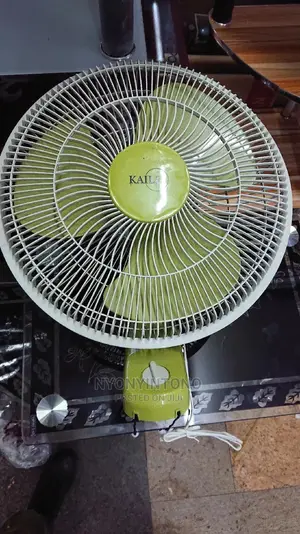 Kaile High Quality Wall Mounted Fan With Powerful Motor
