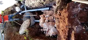 The Biodigester Sewer Management System