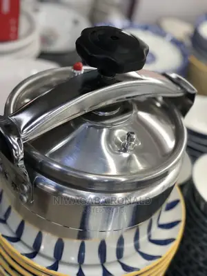 5.0l Pressure Cooker Double Handle